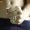 tinh-dich-it-va-dac-2